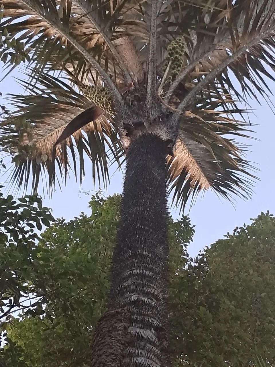 Vendo ou troco - Foto 5