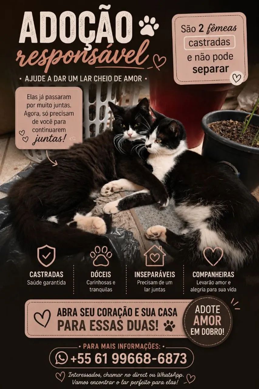 Doação castradas 