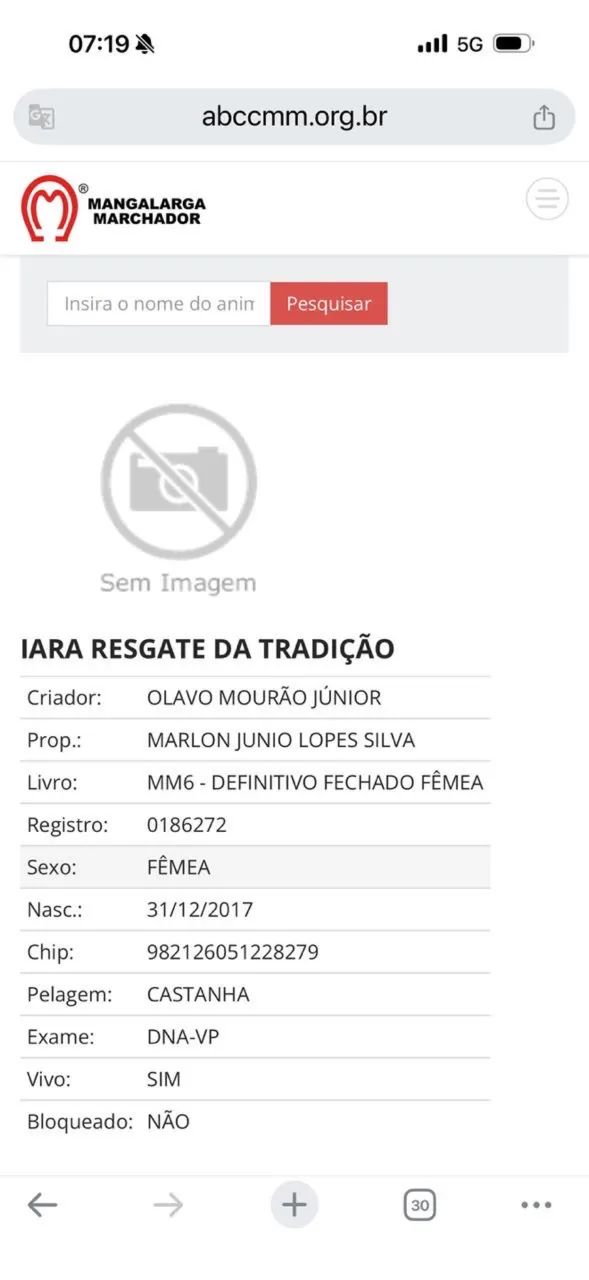 Égua registrada - Foto 4