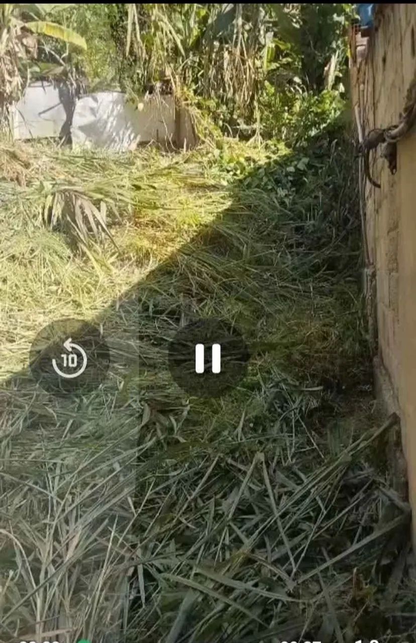 Lote 360 - Foto 3