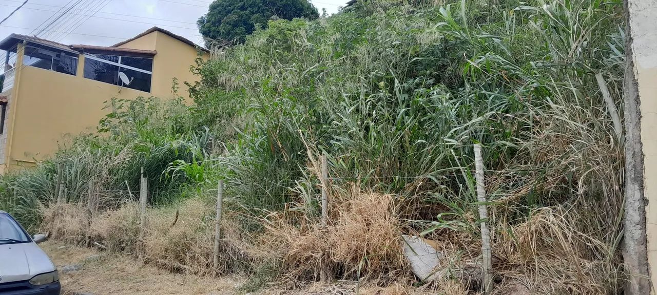 Vendo Lote 250m² bairro independência  - Foto 3