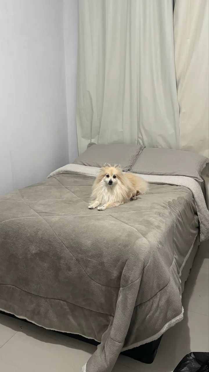 Cama viúva com base 
