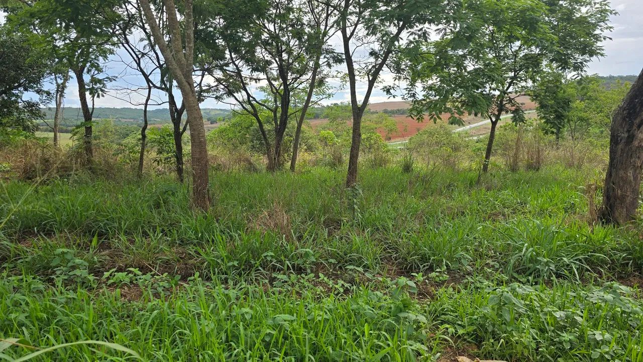 Foto - Brasília - Setor Habitacional Vicente Pires