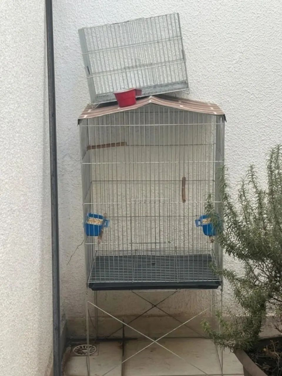 Gaiola