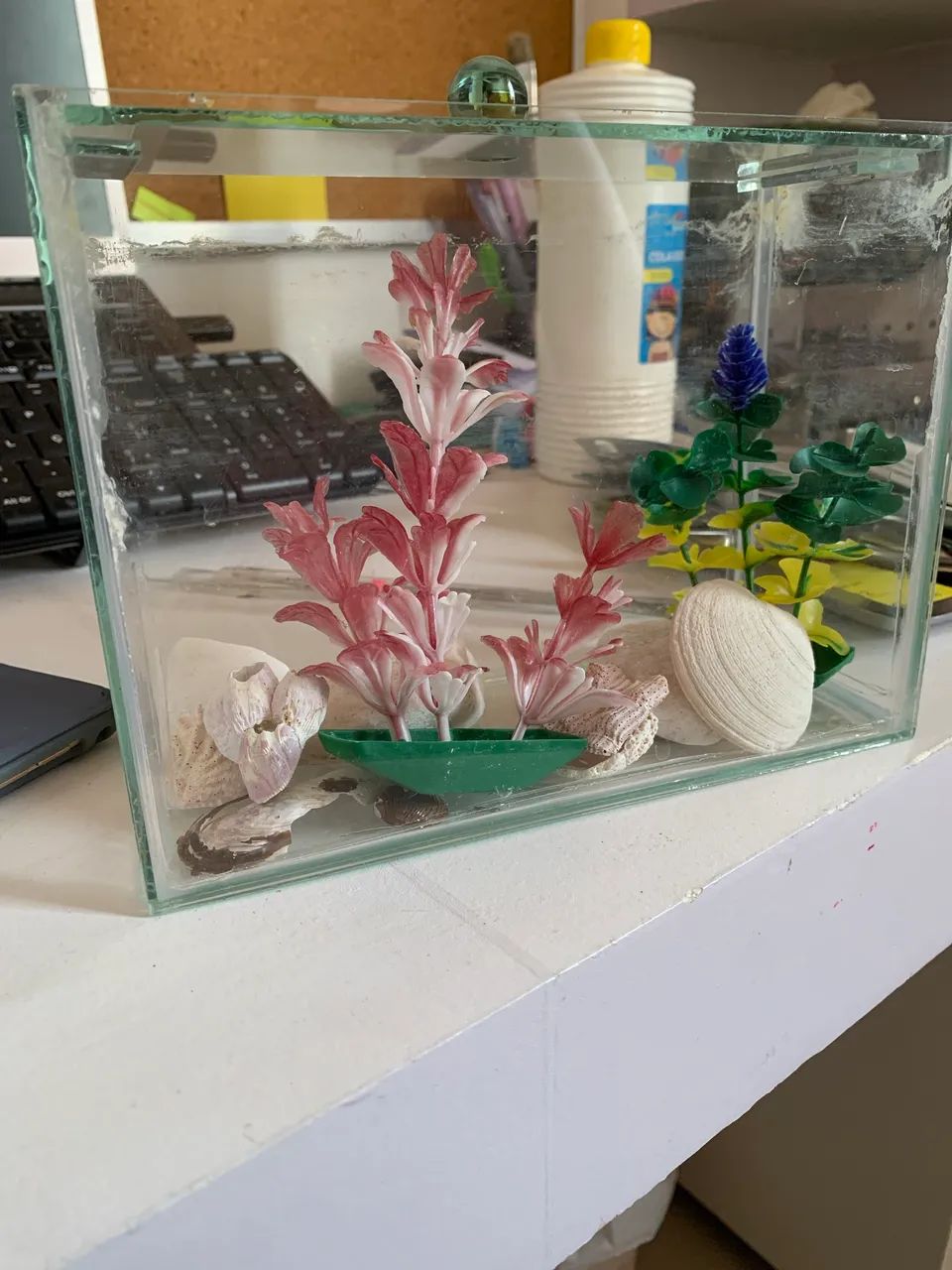 Aquário para peixe Beta  - Foto 2