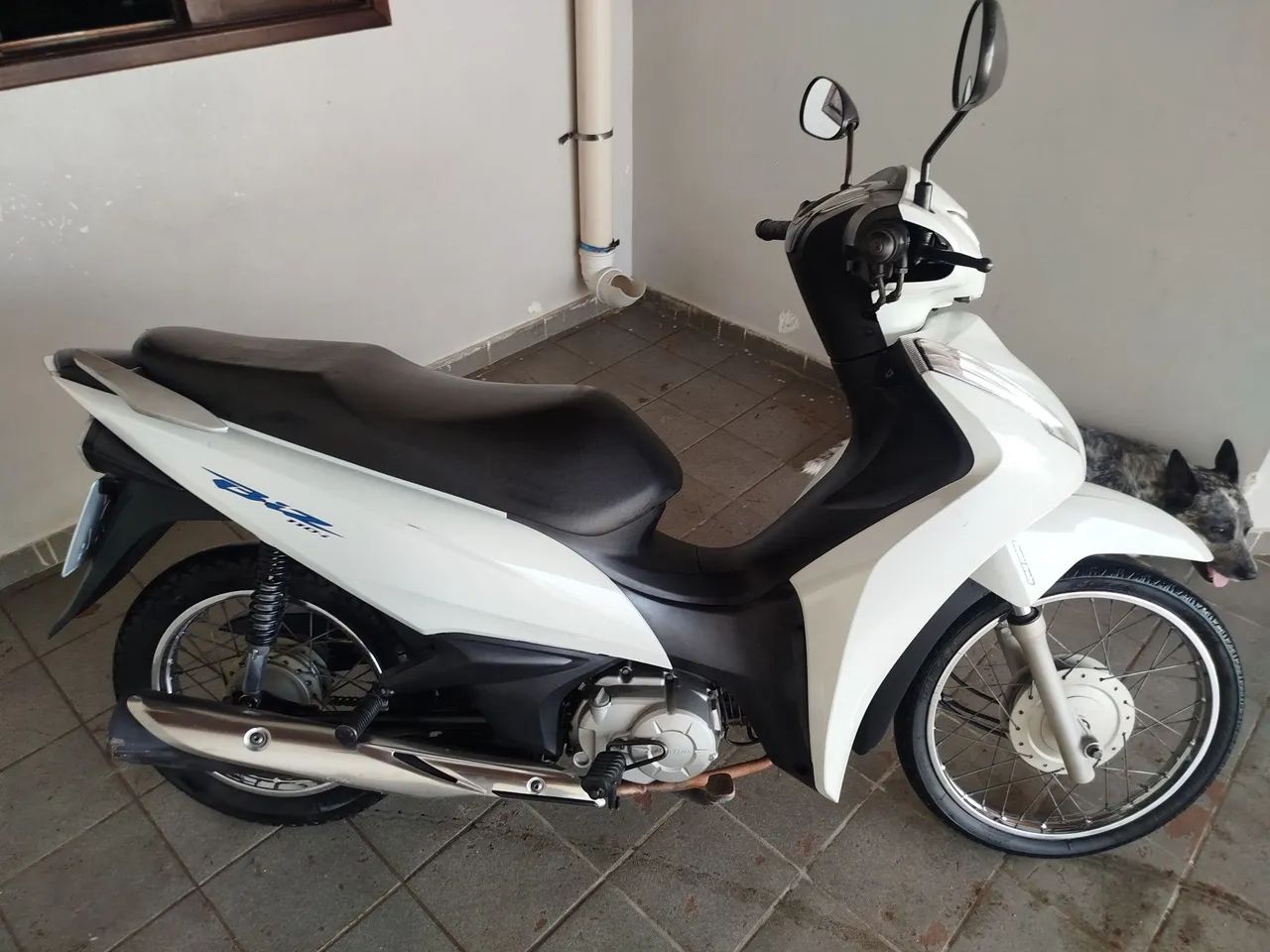 Bis 110 
