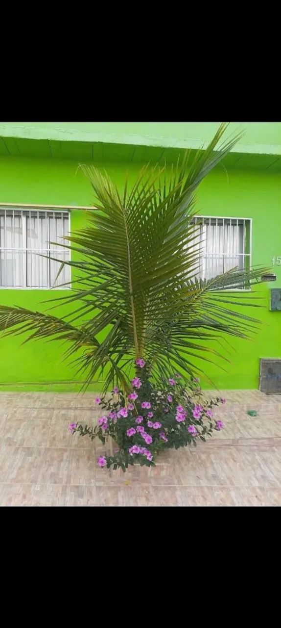 Foto - Ribeirão das Neves - Belvedere
