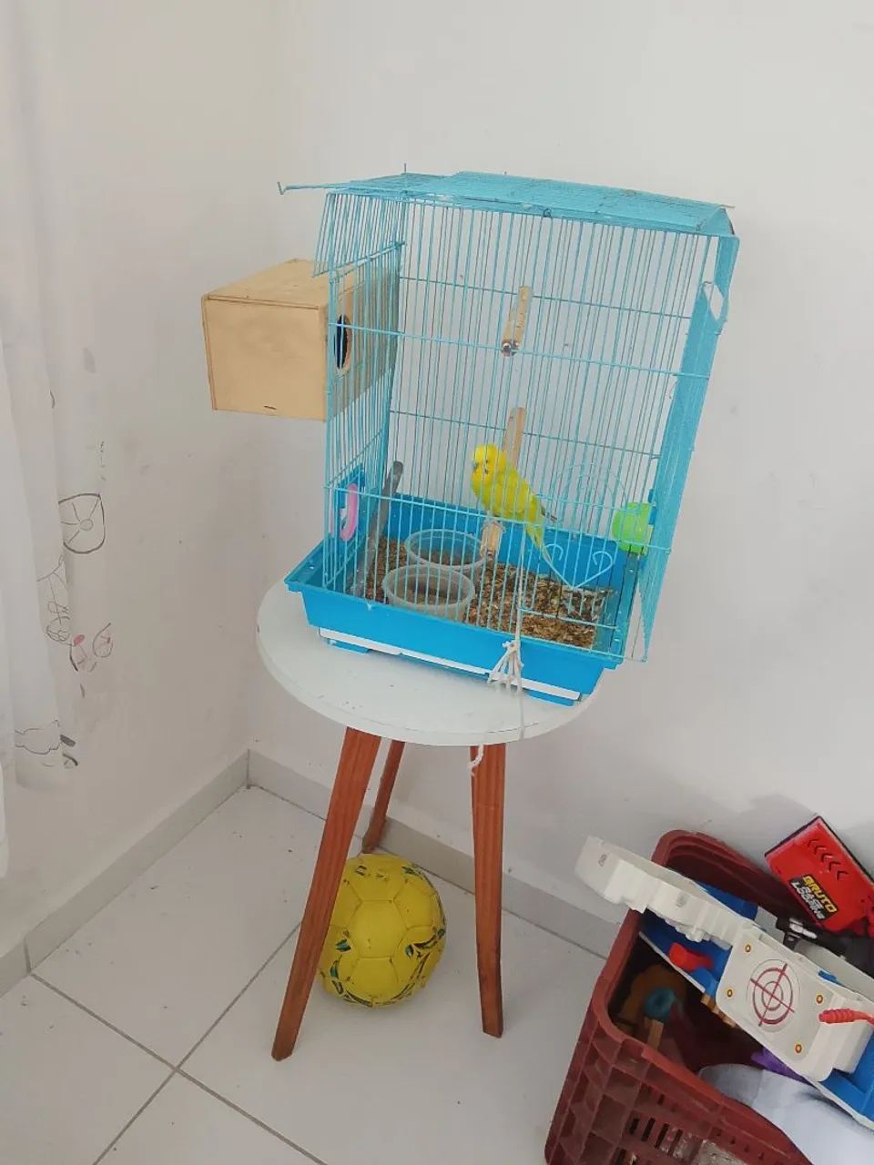 Pra vender logooo - Foto 4