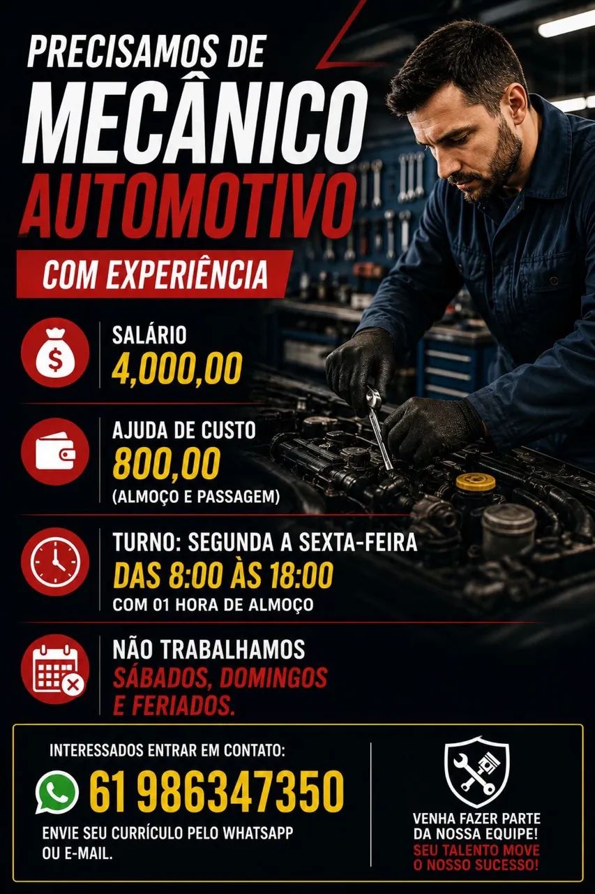 Mecânico profissional