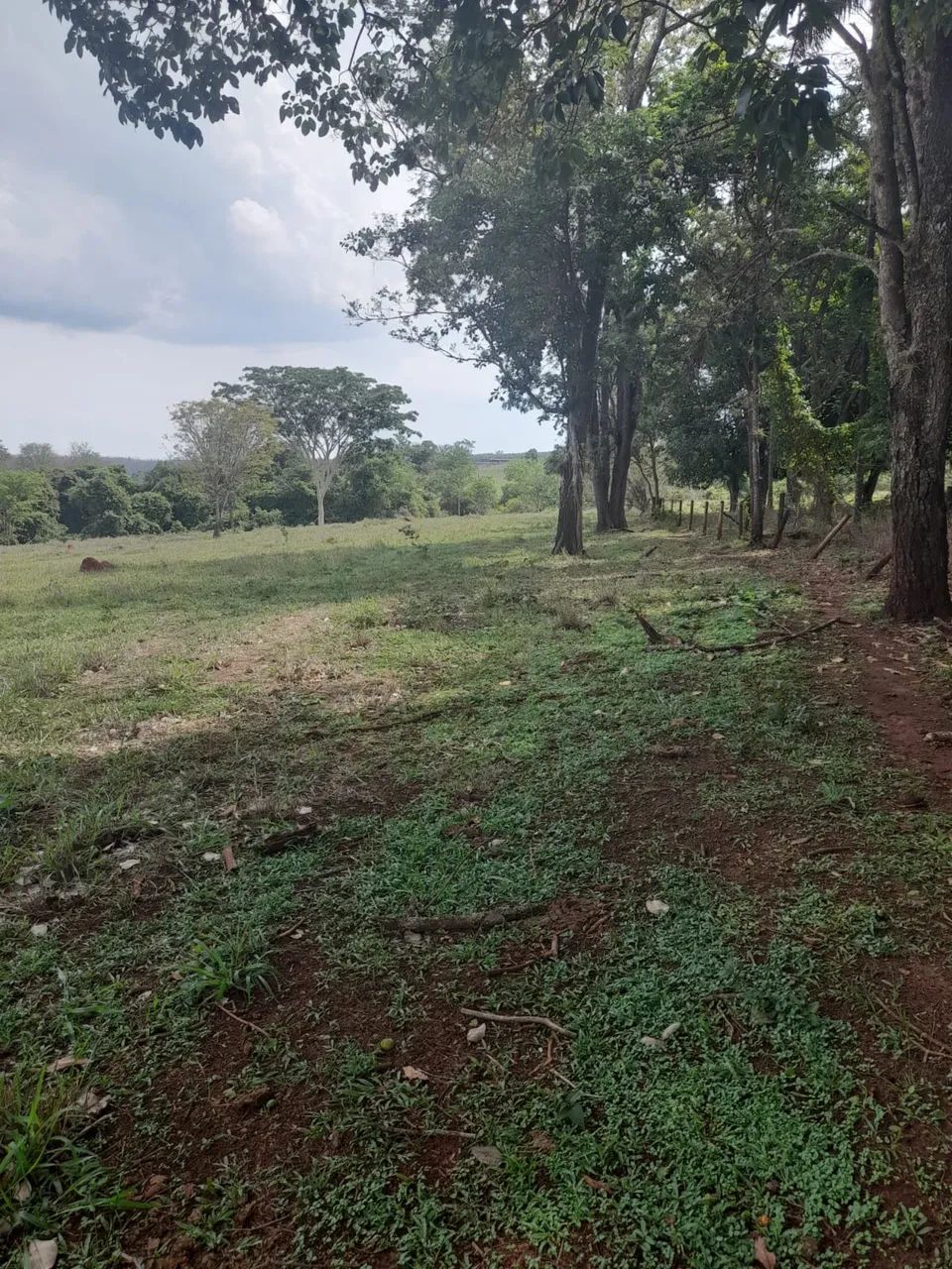 Chácara de 2 hectares sem benfeitorias próximo Uberlândia  - Foto 2