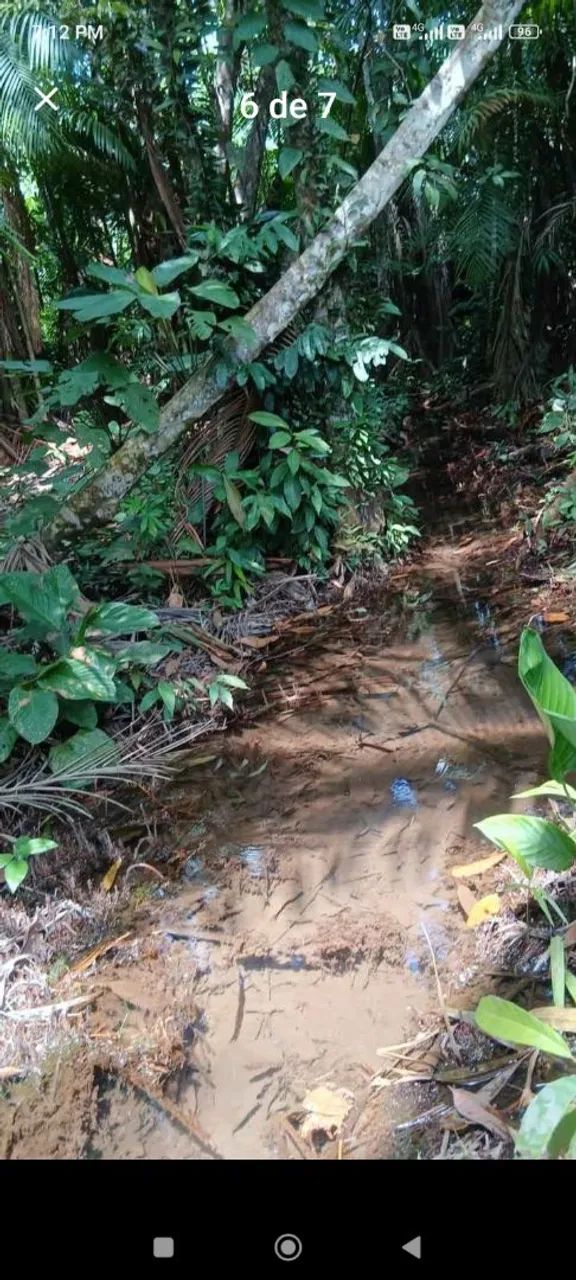 Vendo terreno com igarapé no vila Nova  - Foto 3