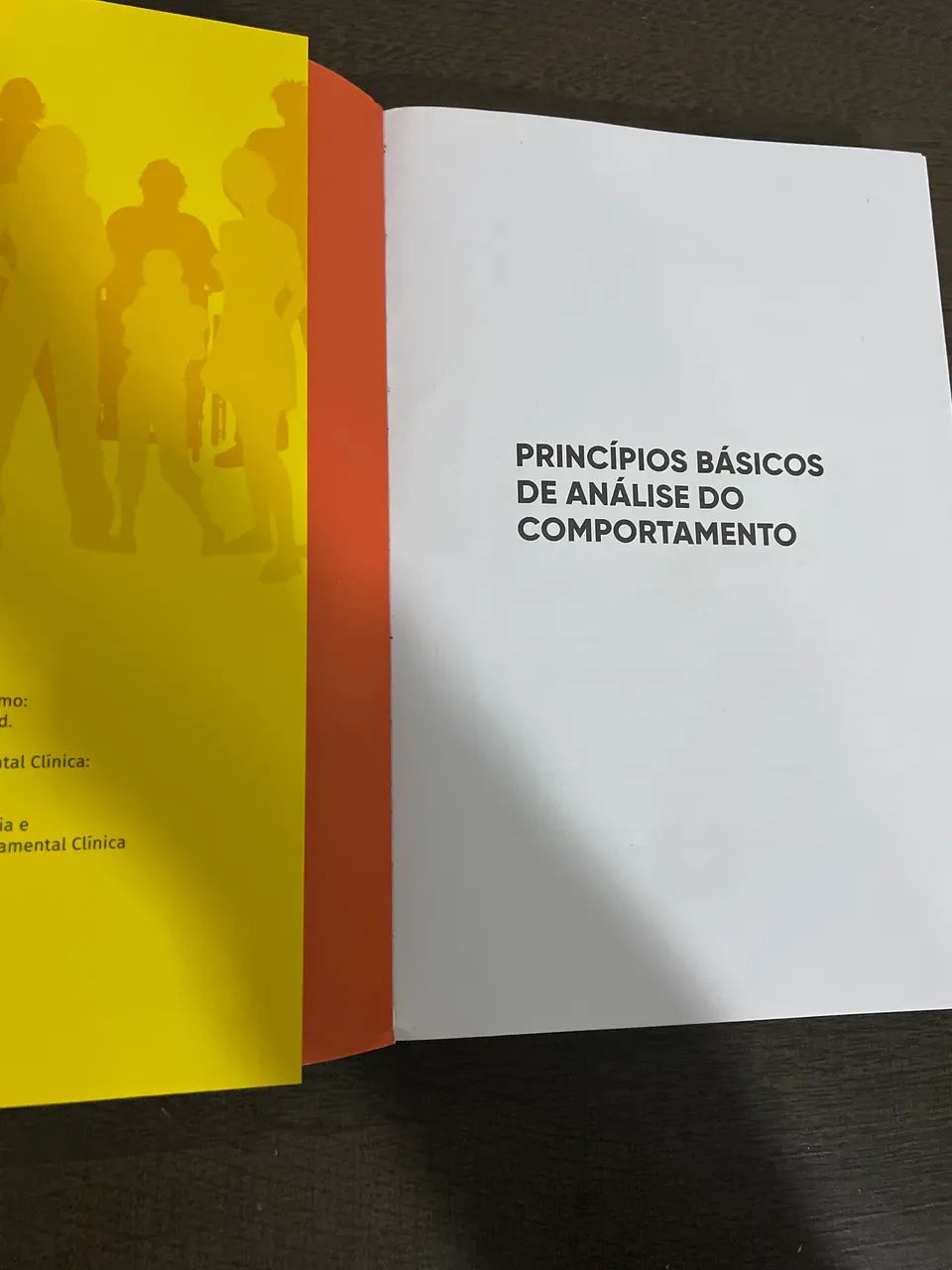 Livro: Princípios básicos de análise do comportamento.  - Foto 2