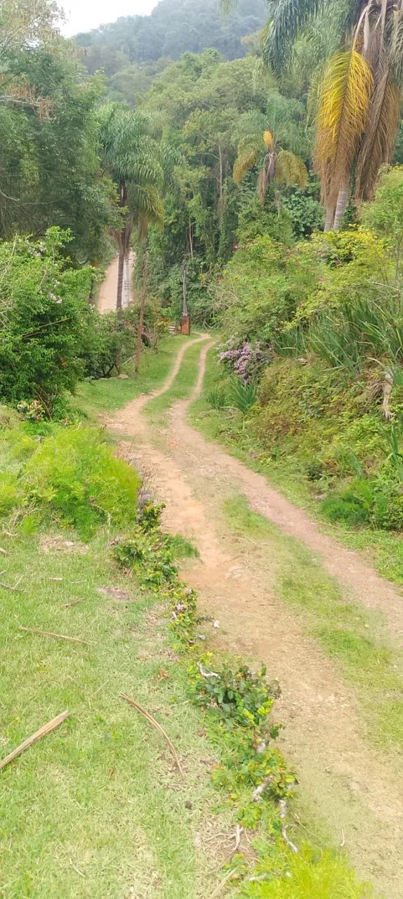 Sitio a venda 24 hectares - Foto 4