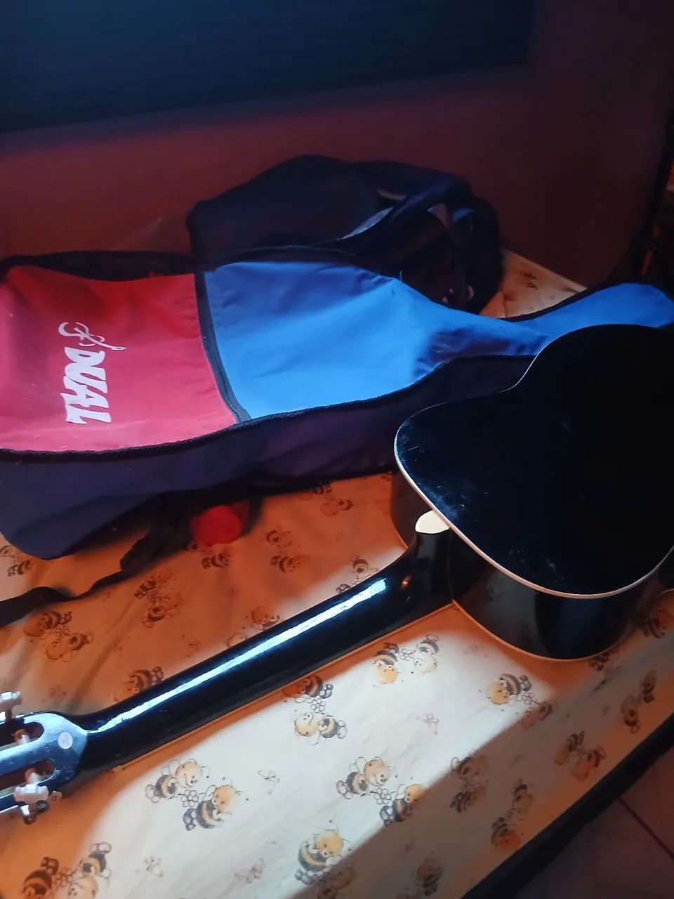 Violao com capa