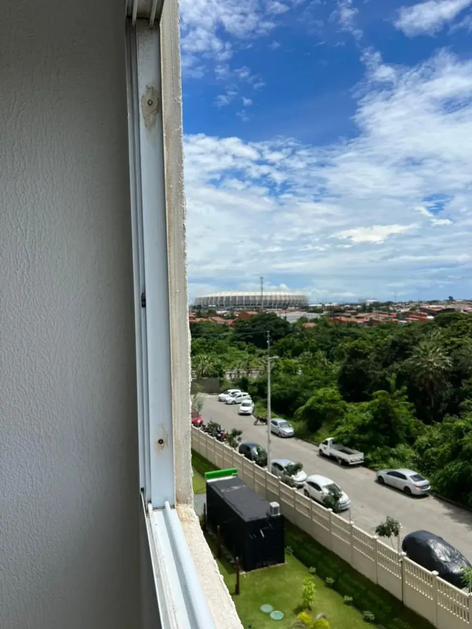 VIDA BOTÂNICA   Passaré/Cajazeiras - Foto 2