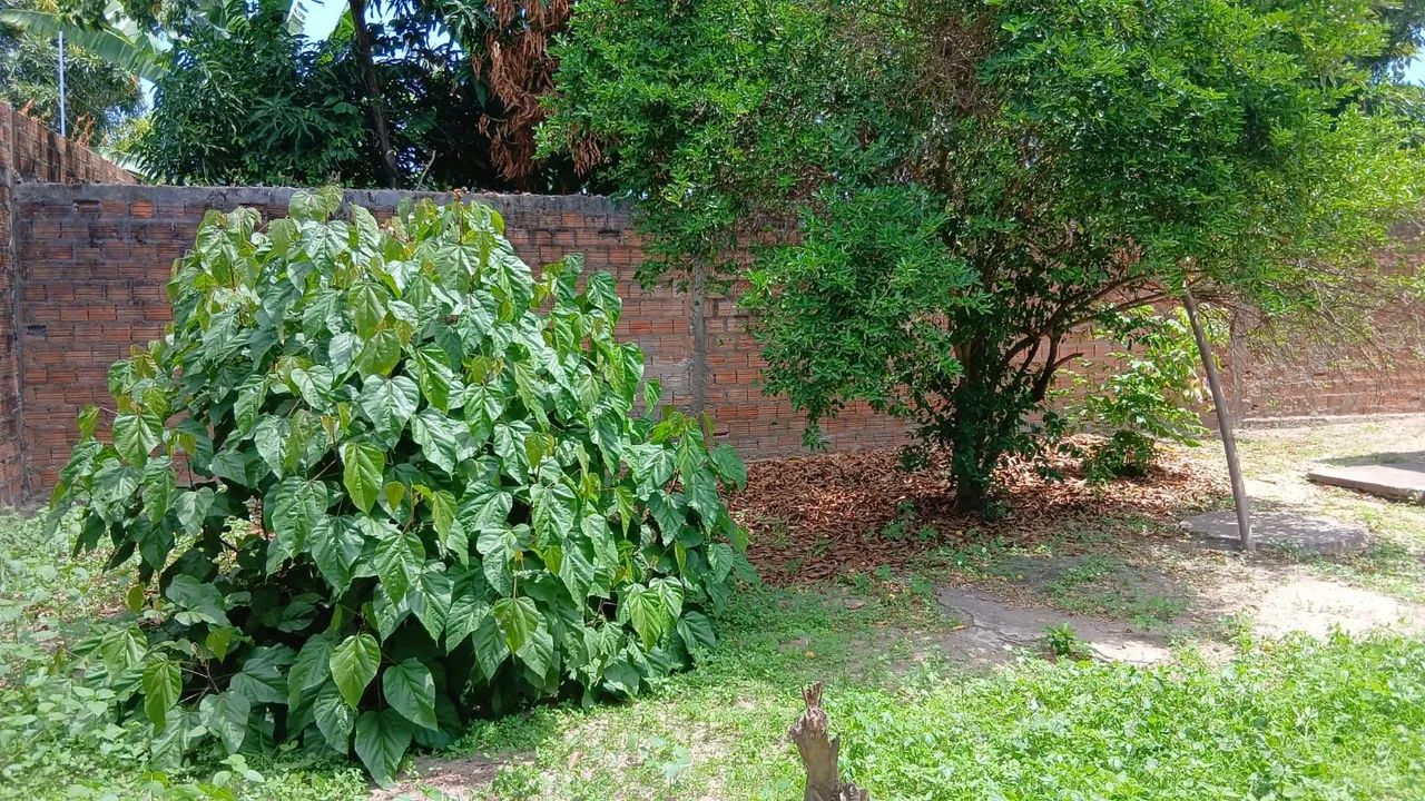 VENDE-SE NA RAPOSA- VILA MARESIA - Foto 5