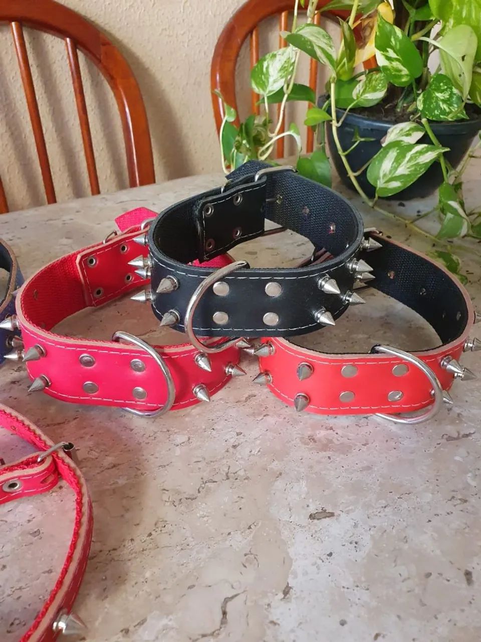 Coleira com espinhos de metal 