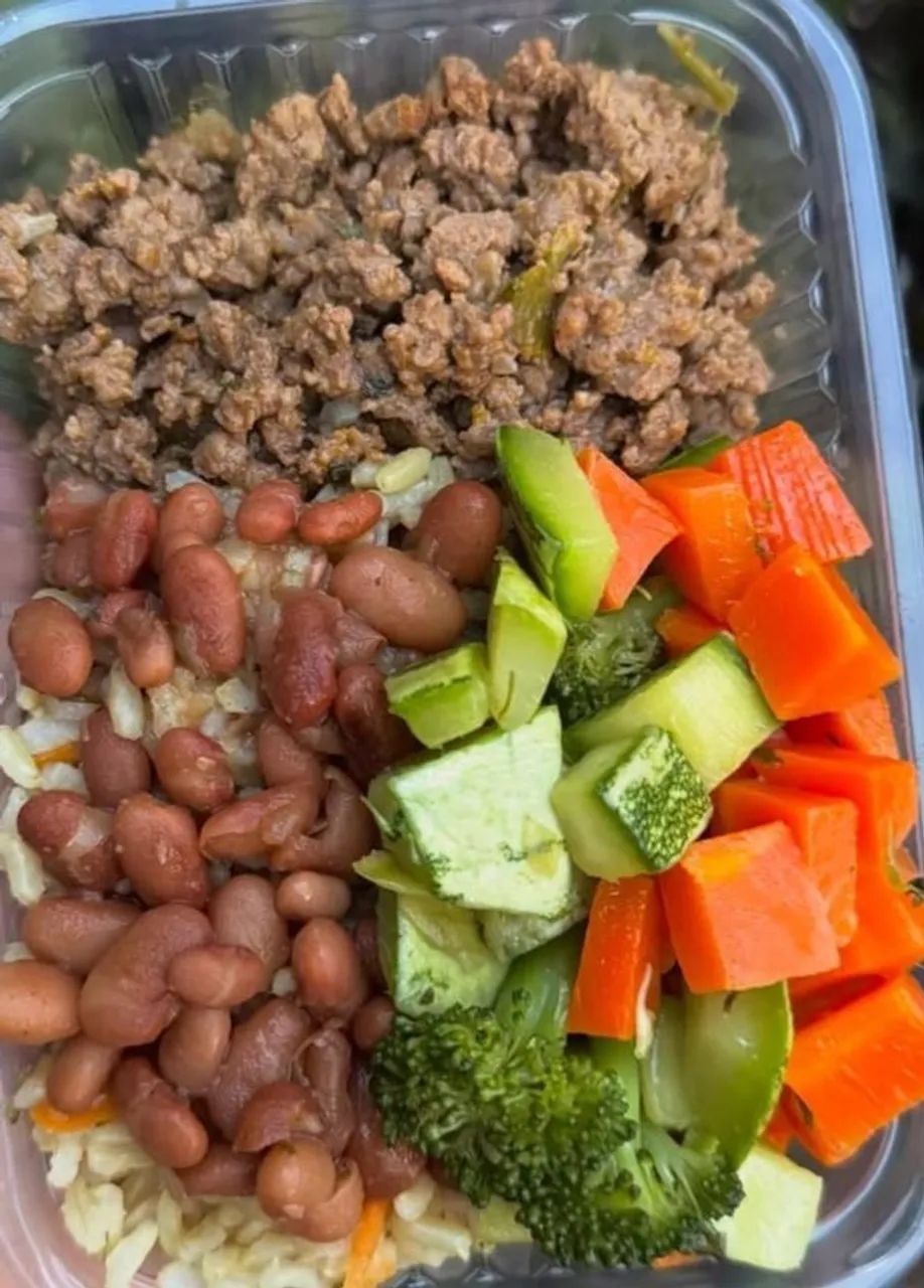Alimentando Vidas com Saúde e Carinho - Foto 2