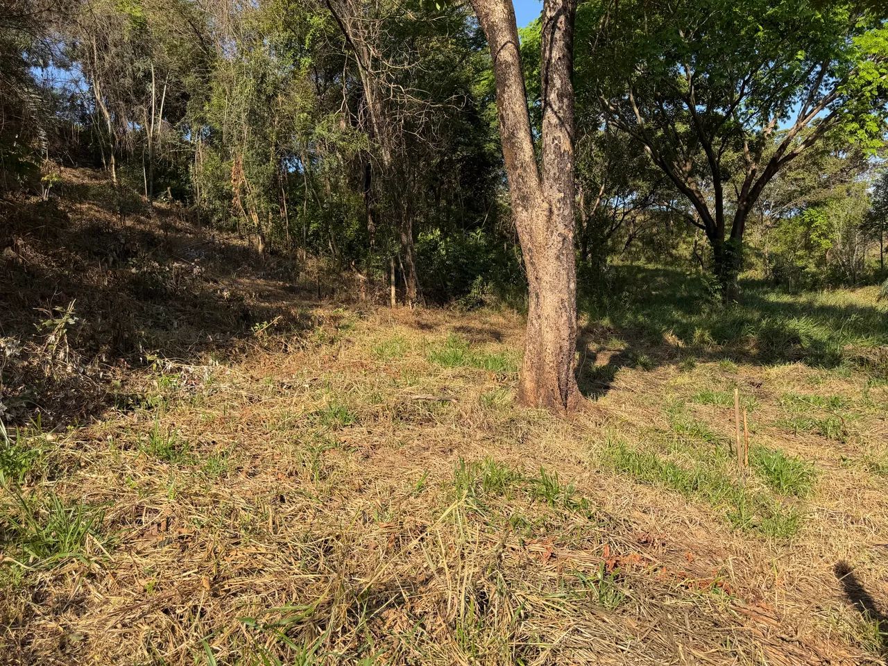 Lote 510m2  perto da SADA    - Foto 4