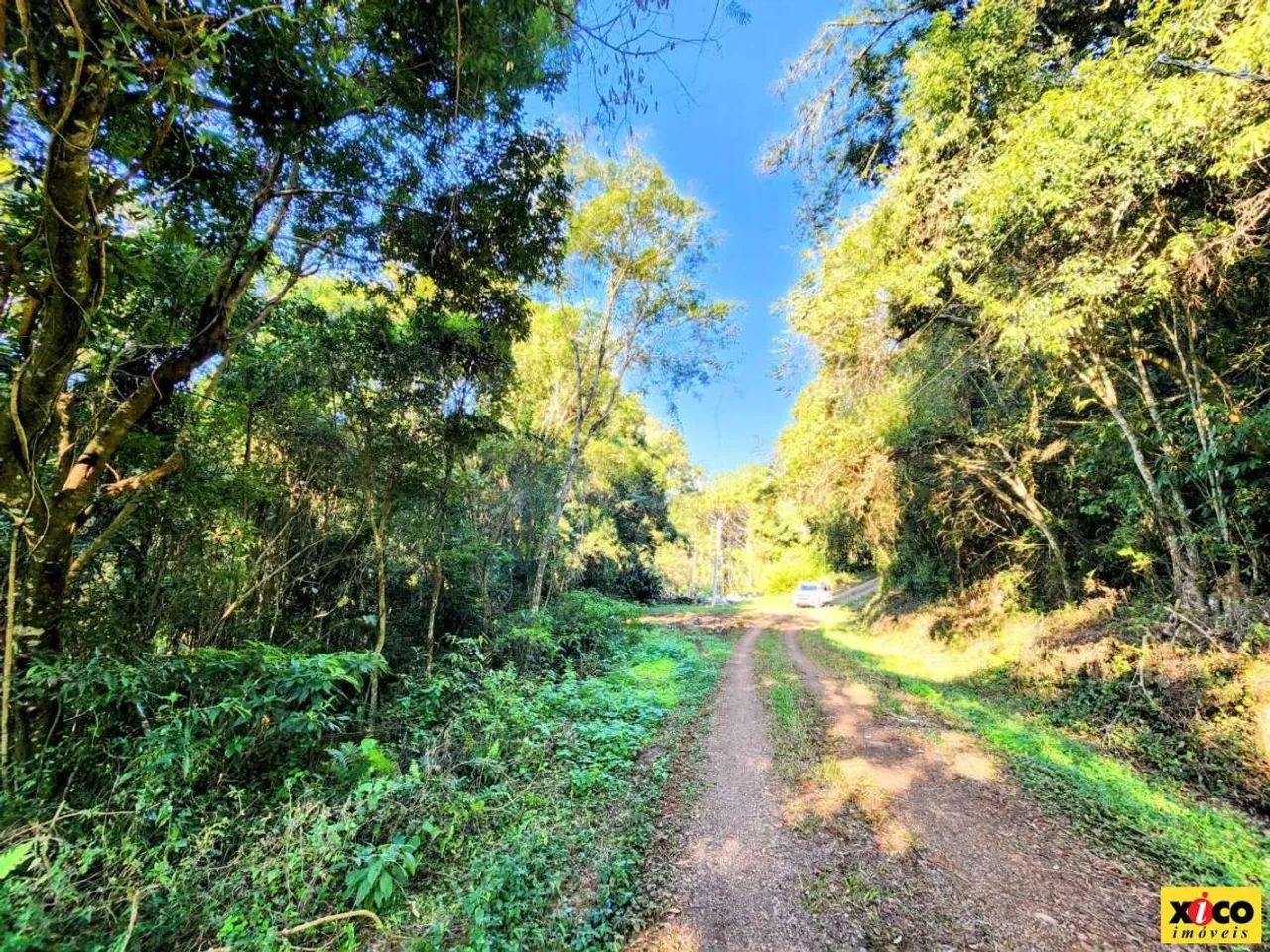 Sítio / Chácara para Venda em Nova Petrópolis, Linha Riachuelo - Foto 3