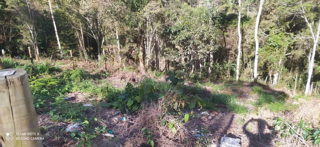 Terreno campo do coelho  - Foto 2