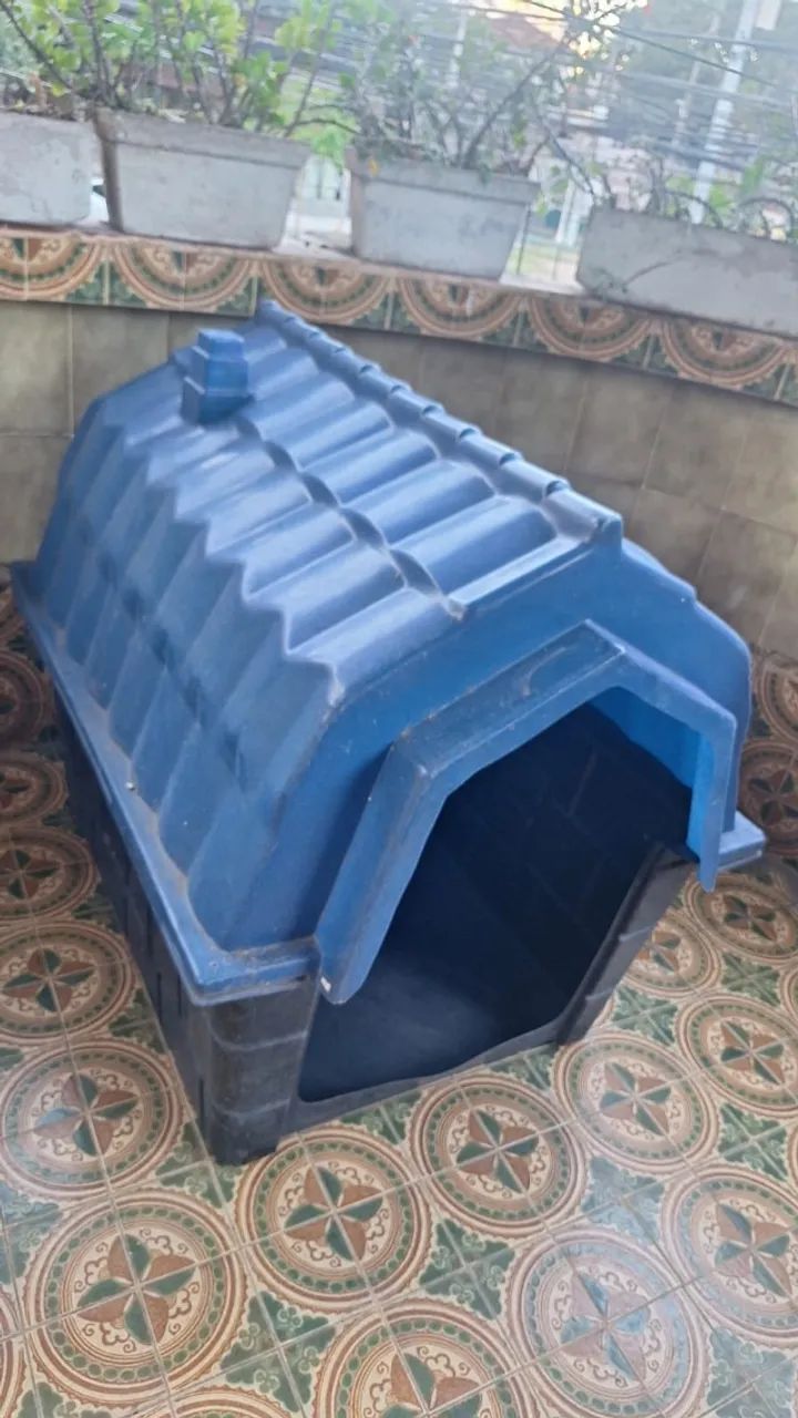 Casa Grande pet