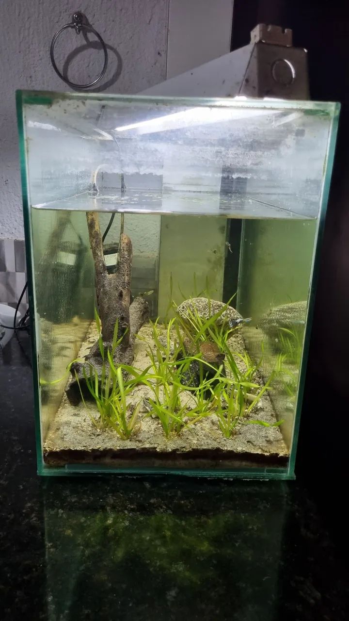 Aquario de 75 litros - Foto 2