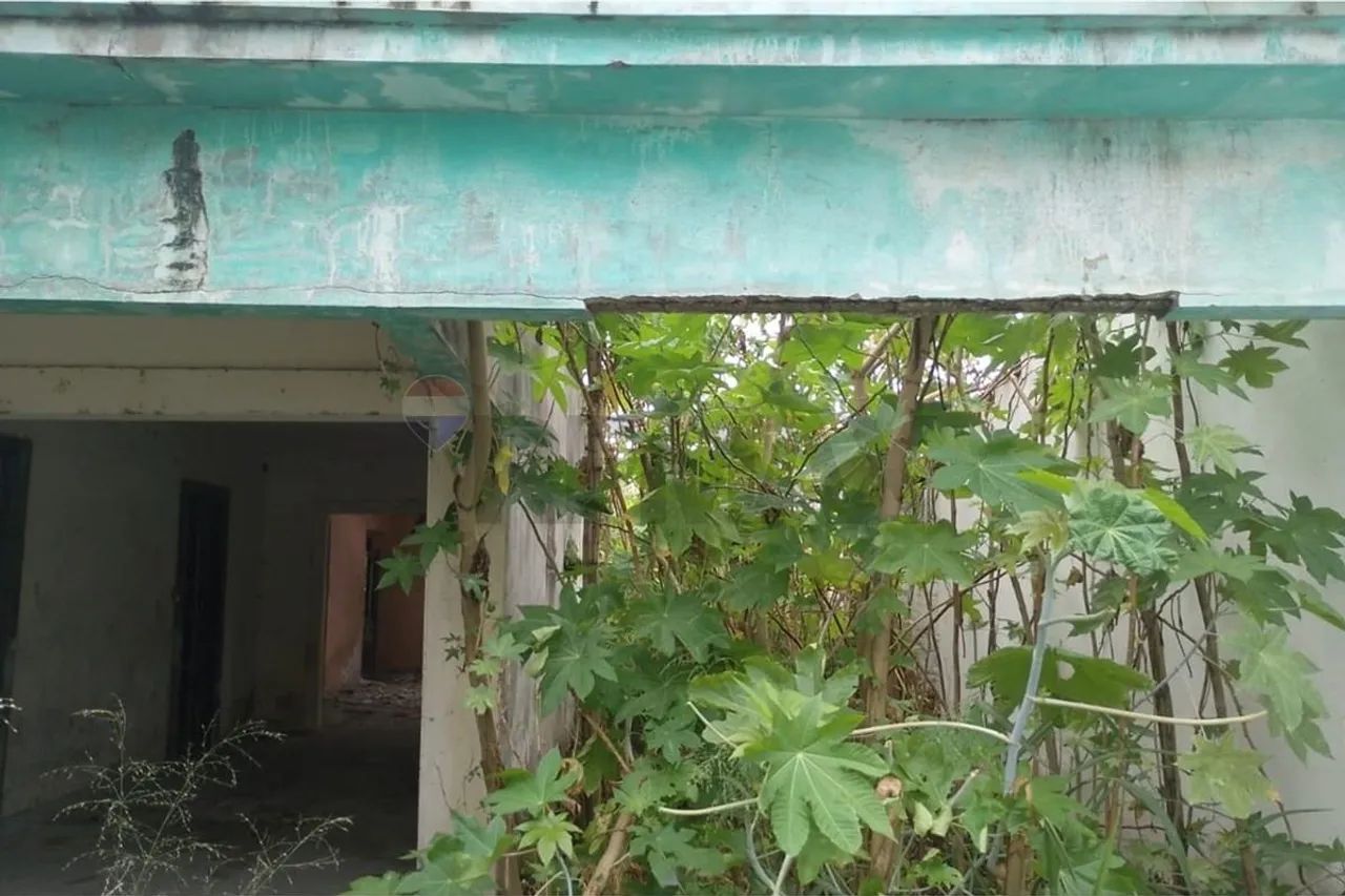 "Casa Sustentável no Coração de Pernambuco" - Foto 4