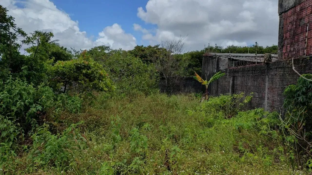 vendo terreno Pq das Árvores  escriturado - Foto 6