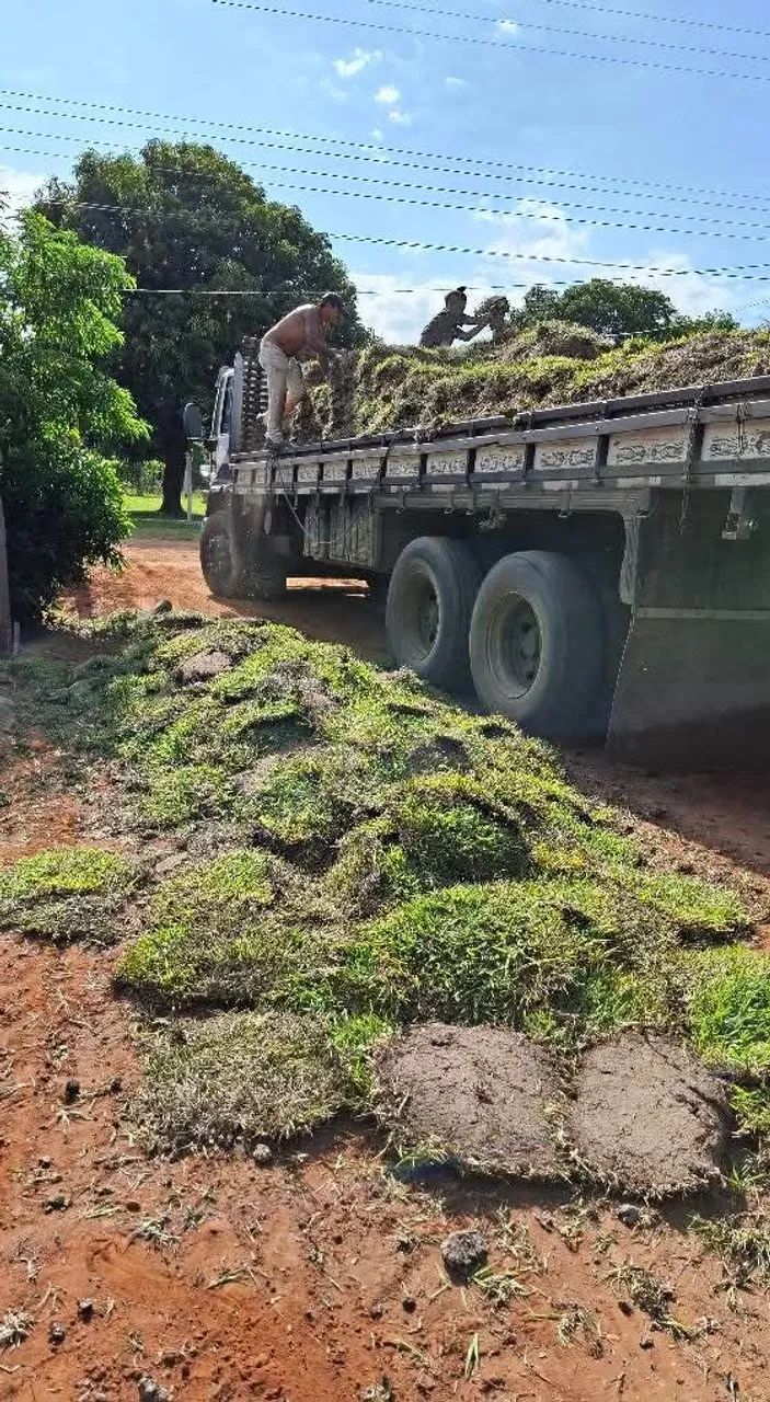 Grama direito da roça  - Foto 4