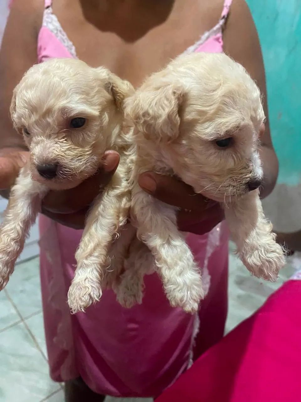 Vendo no precinho  - Foto 2
