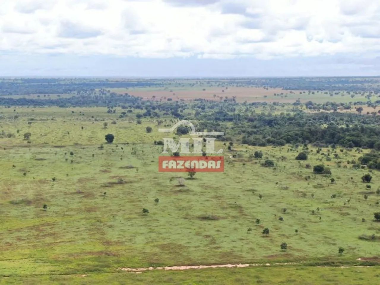 Fazenda de 42 alqueires (204 hectares) em Nova Crixas - GO,