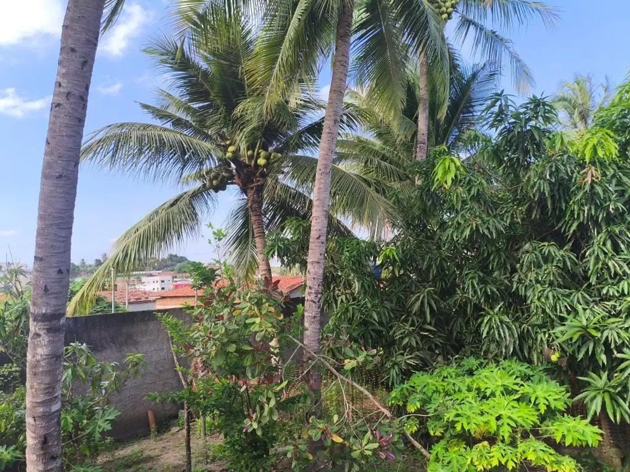 Casa a venda em itapororoca. - Foto 4