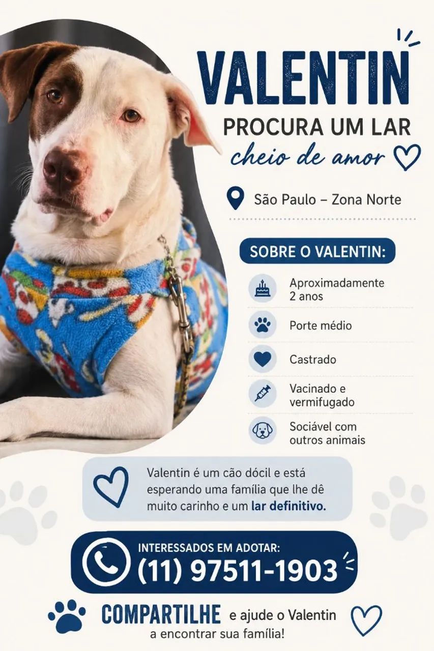 Adoção Responsável.
