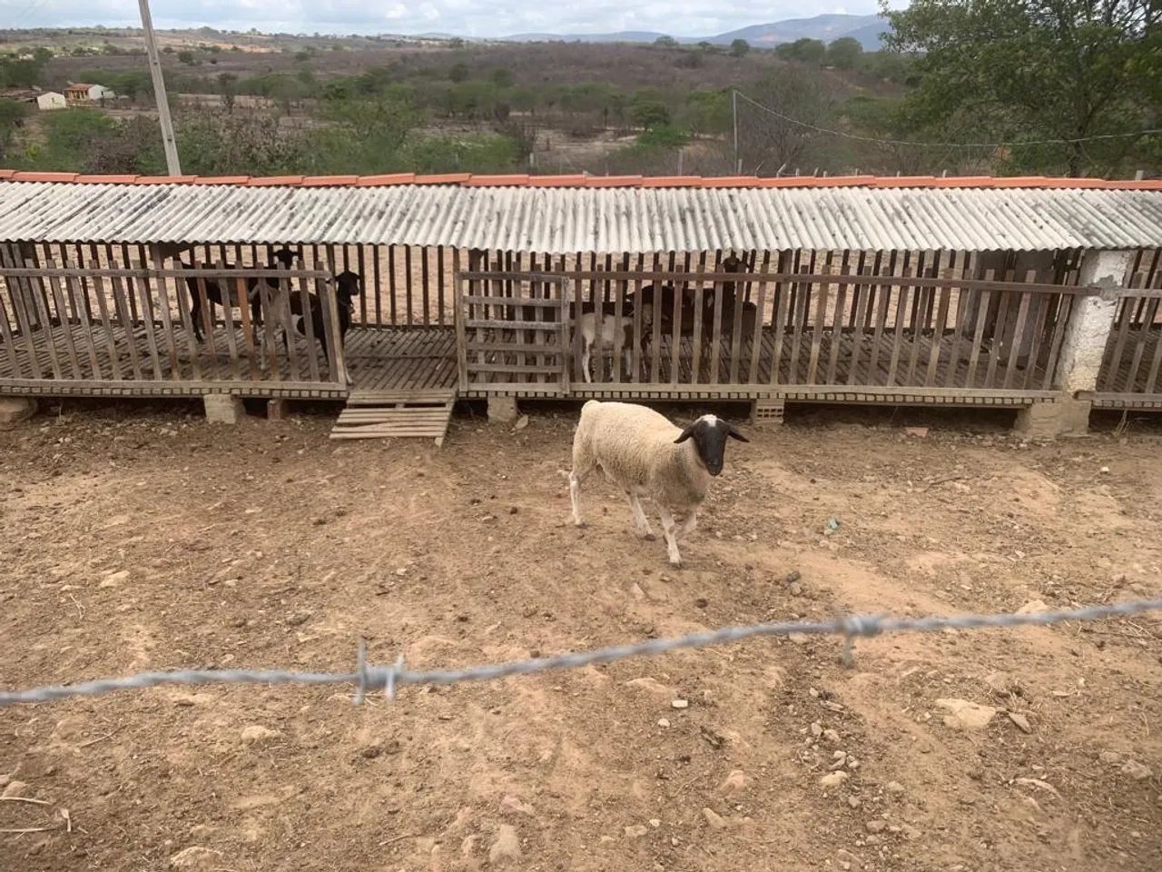 Vendo ou troco chácara  - Foto 2