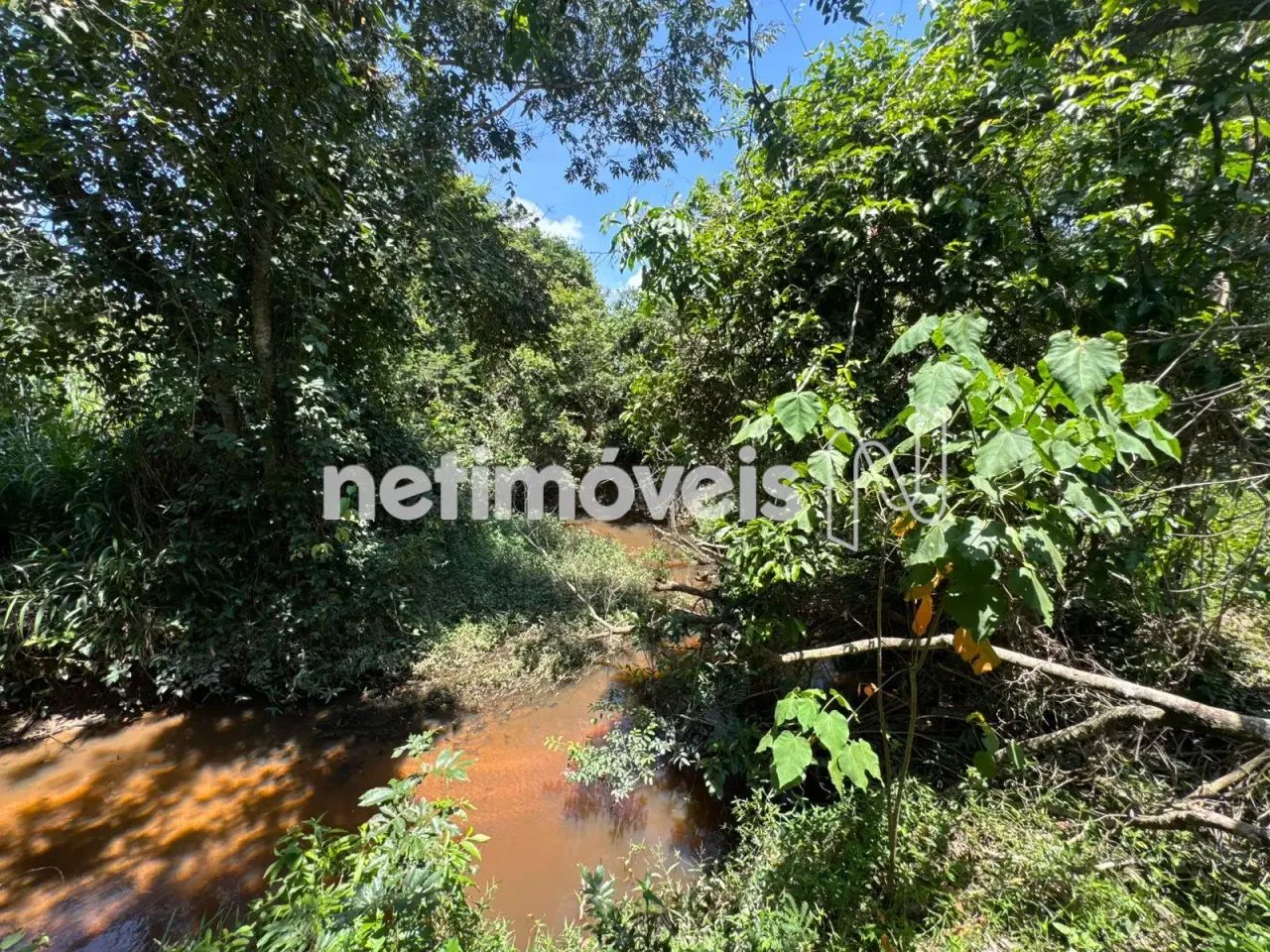 Chácara á venda em Trindade, Pará de Minas/MG - Foto 3