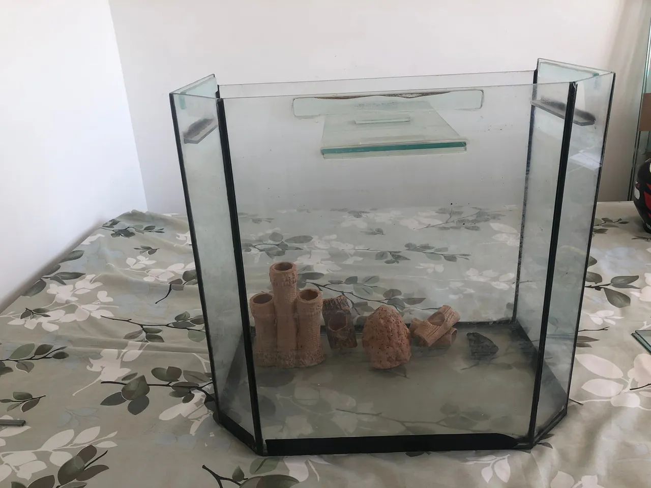 Aquário  com base