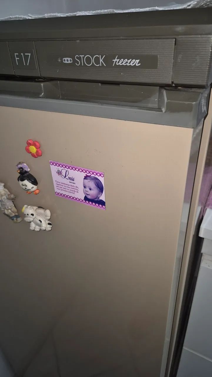 Freezer vertical Prosdocimo