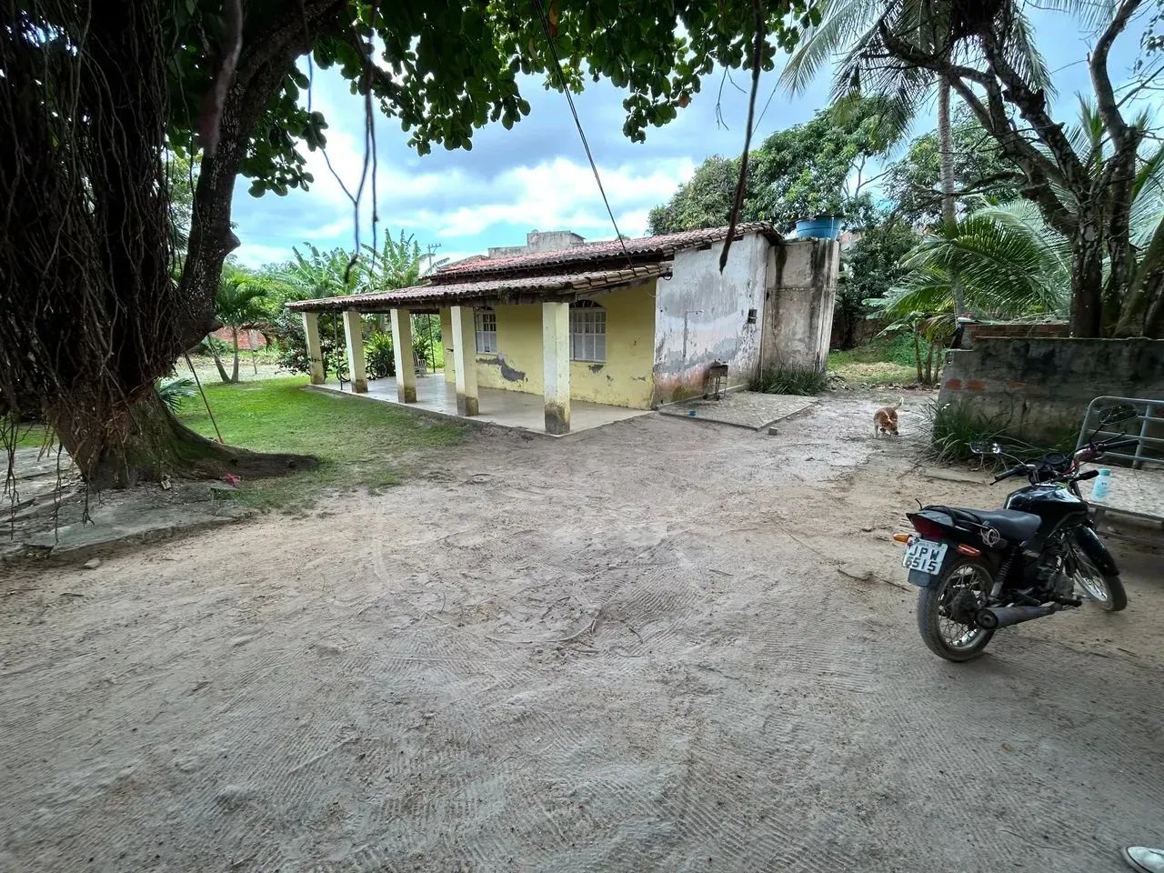 Venda - Terreno Plano | 1.200 M2 | Murado | Esquina | Abrantes - Foto 3