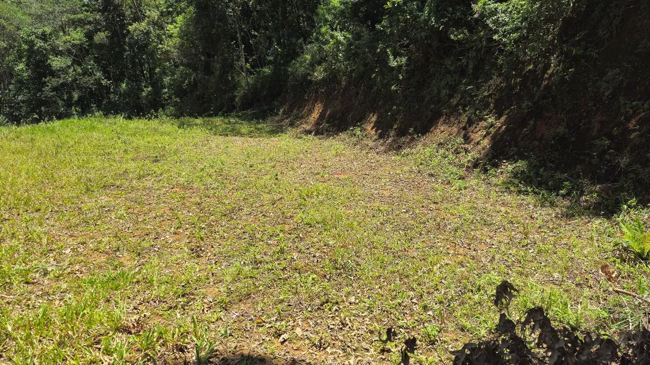 ? Terreno de 2.000 m² com Platô Pronto - Foto 4