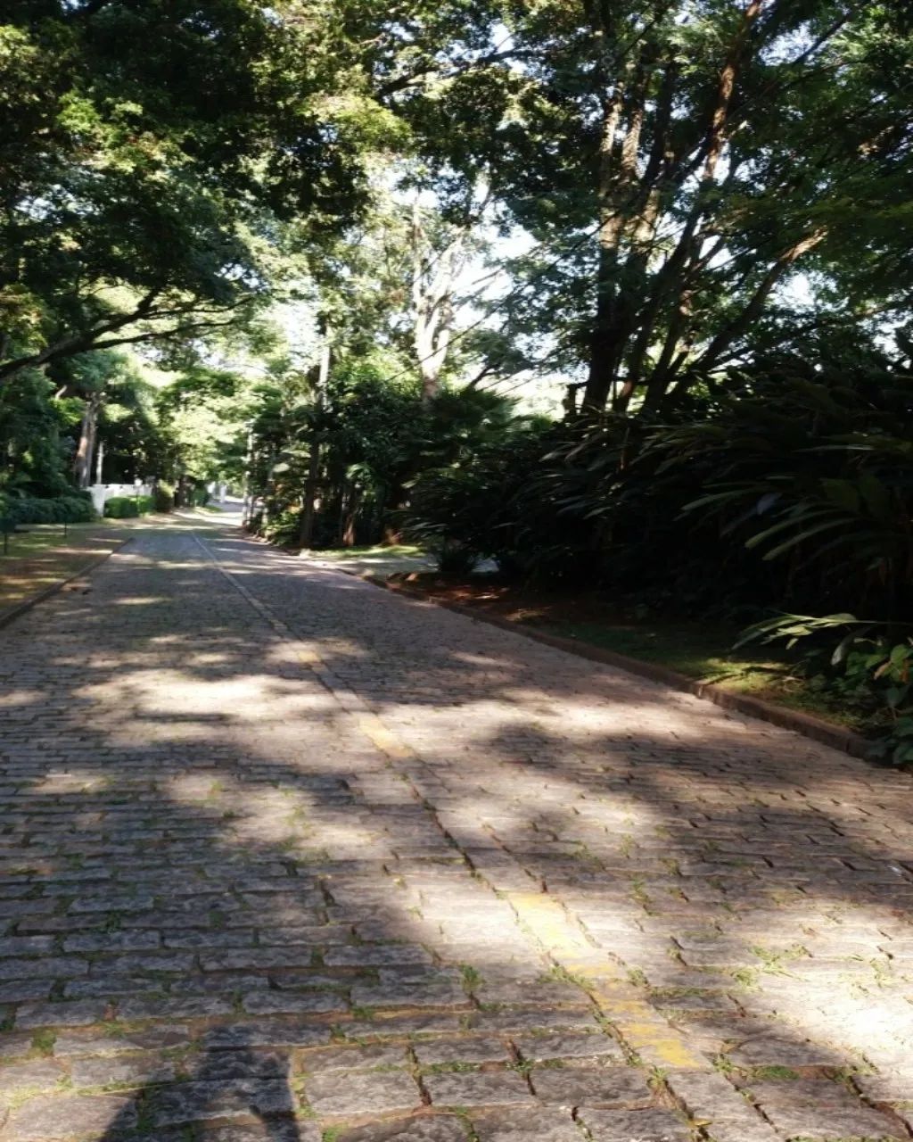VENDO TERRENO EM CONDOMÍNIO CHÁCARAS GRAMADO - CAMPINAS - Foto 3