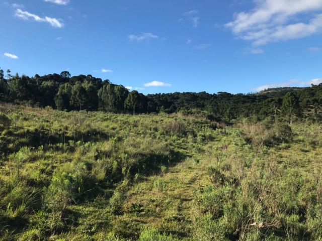 Área com 20mil m2 na cidade mais fria do Brasil - Urupema - sc - Foto 16