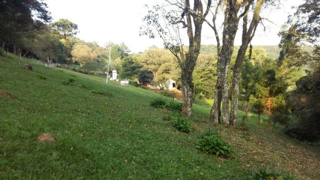 Lindo Sítio na Serra Gaúcha!! - Foto 15