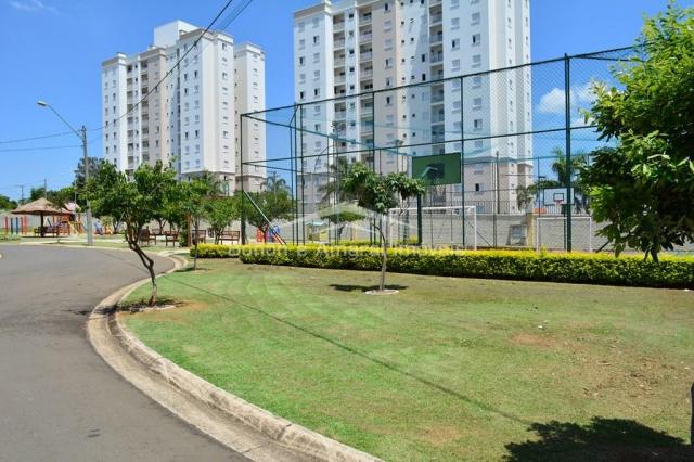 Terreno à venda com 0 dormitórios em Jardim américa, Paulínia cod:TE004753 - Foto 5