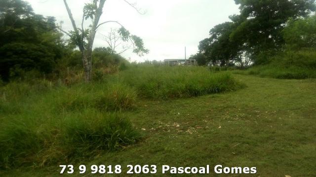 Fazenda a venda Bahia - Foto 7
