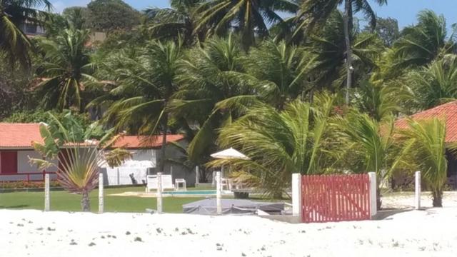 Vende-se excelente terreno em Barra de Catuama , a 200m da praia - Foto 19