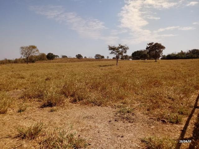 Fazenda abeira do asfalto na estrada da Guia 67 km de Cuiabá - Foto 16