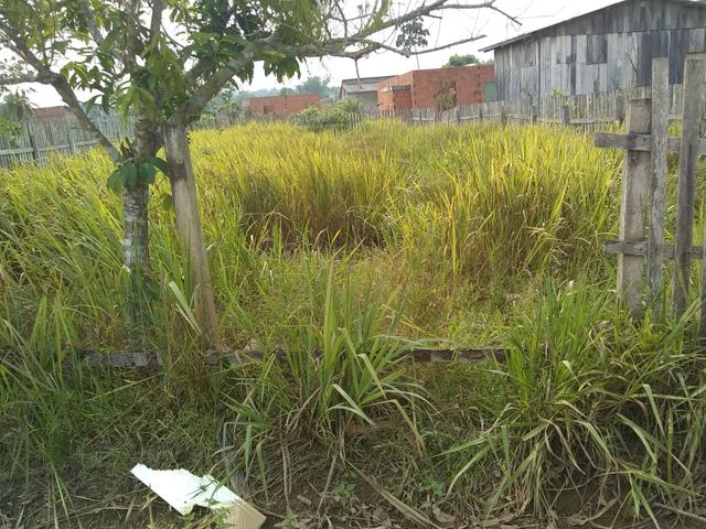 Terreno a venda