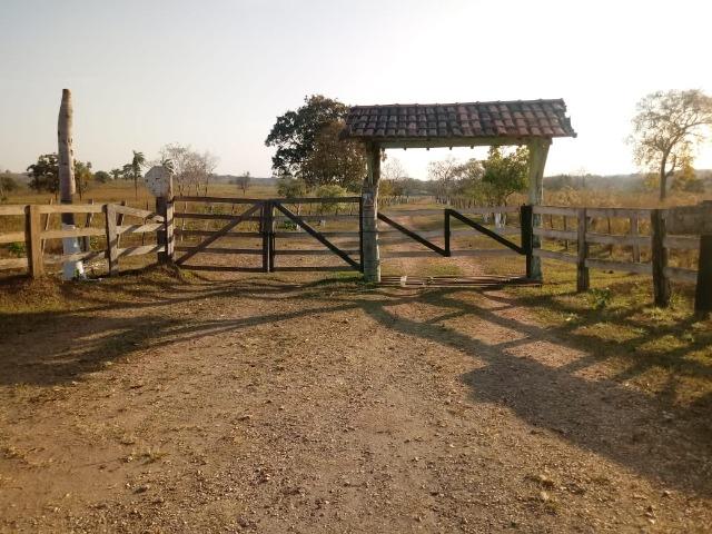 Fazenda há 10 km na MT 010 Estrada da Guia - Foto 4