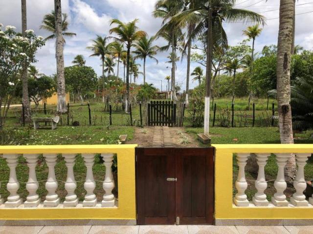 Fazenda para venda em carpina, são josé - Foto 3